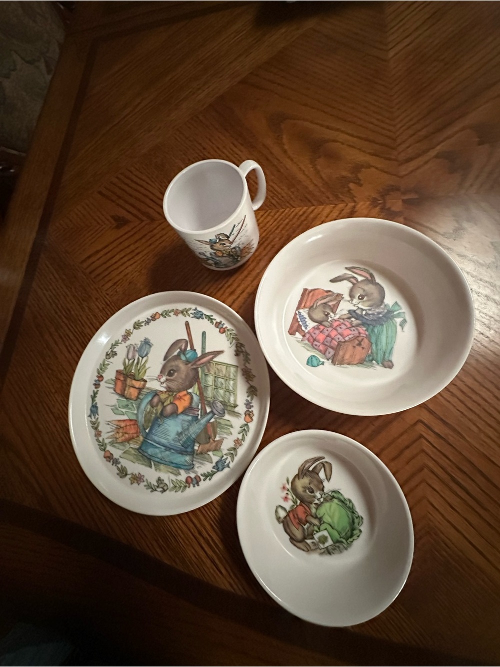 Oneida Deluxe Peter Rabbit Melamine Dinnerware Set - Picture 2 of 16